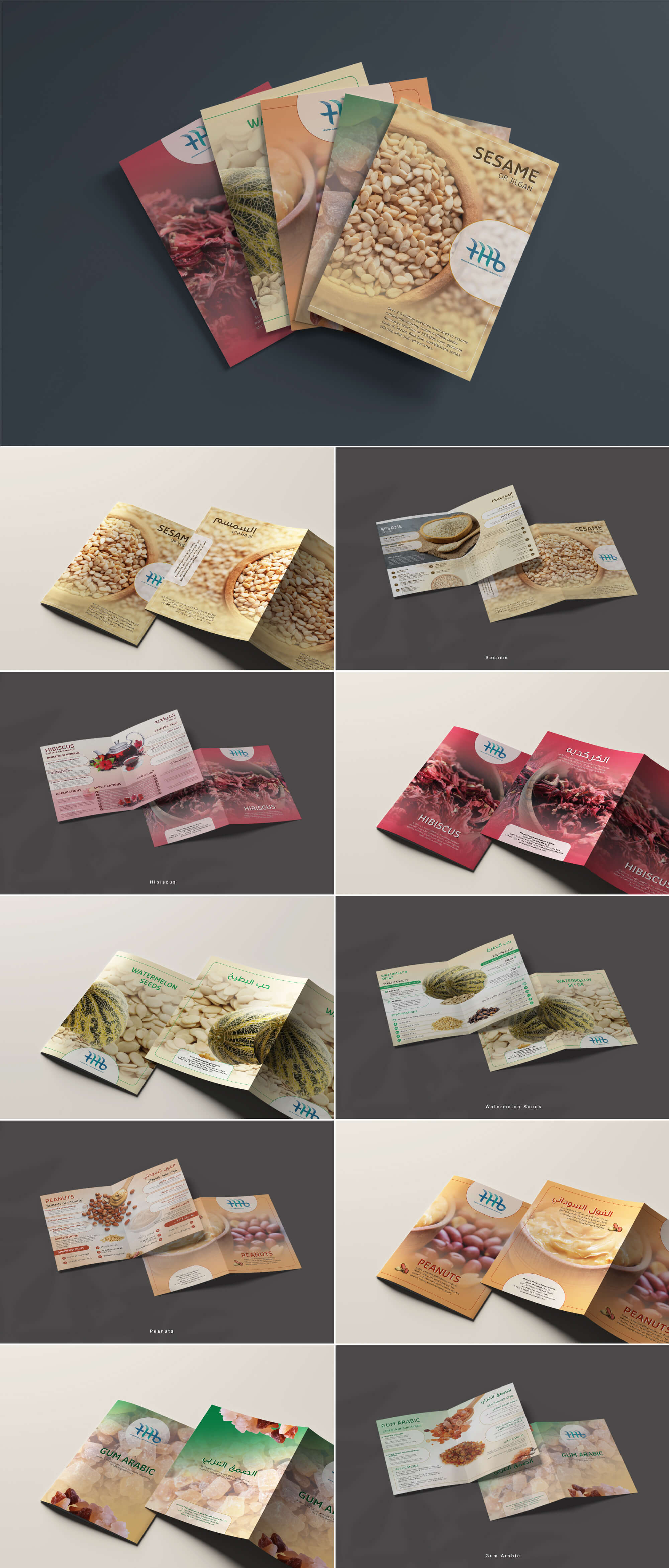 HMB Flyers By Sajid Sulaiman