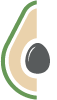 shape